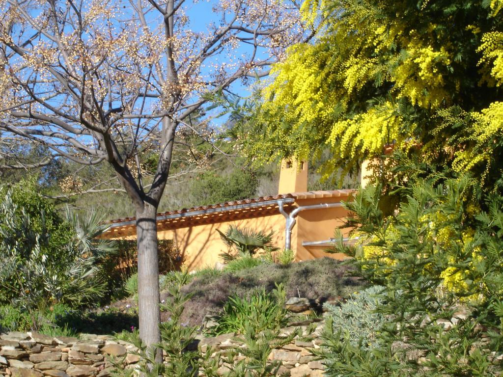 Villa House With Garden And Sea View à La Londe-les-Maures Chambre photo